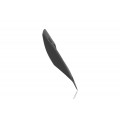 CNC Racing SPORT Windscreen for Ducati Multistrada V2 (2025+) CNC Racing SPORT Windscreen for Ducati Multistrada V2 (2025+)